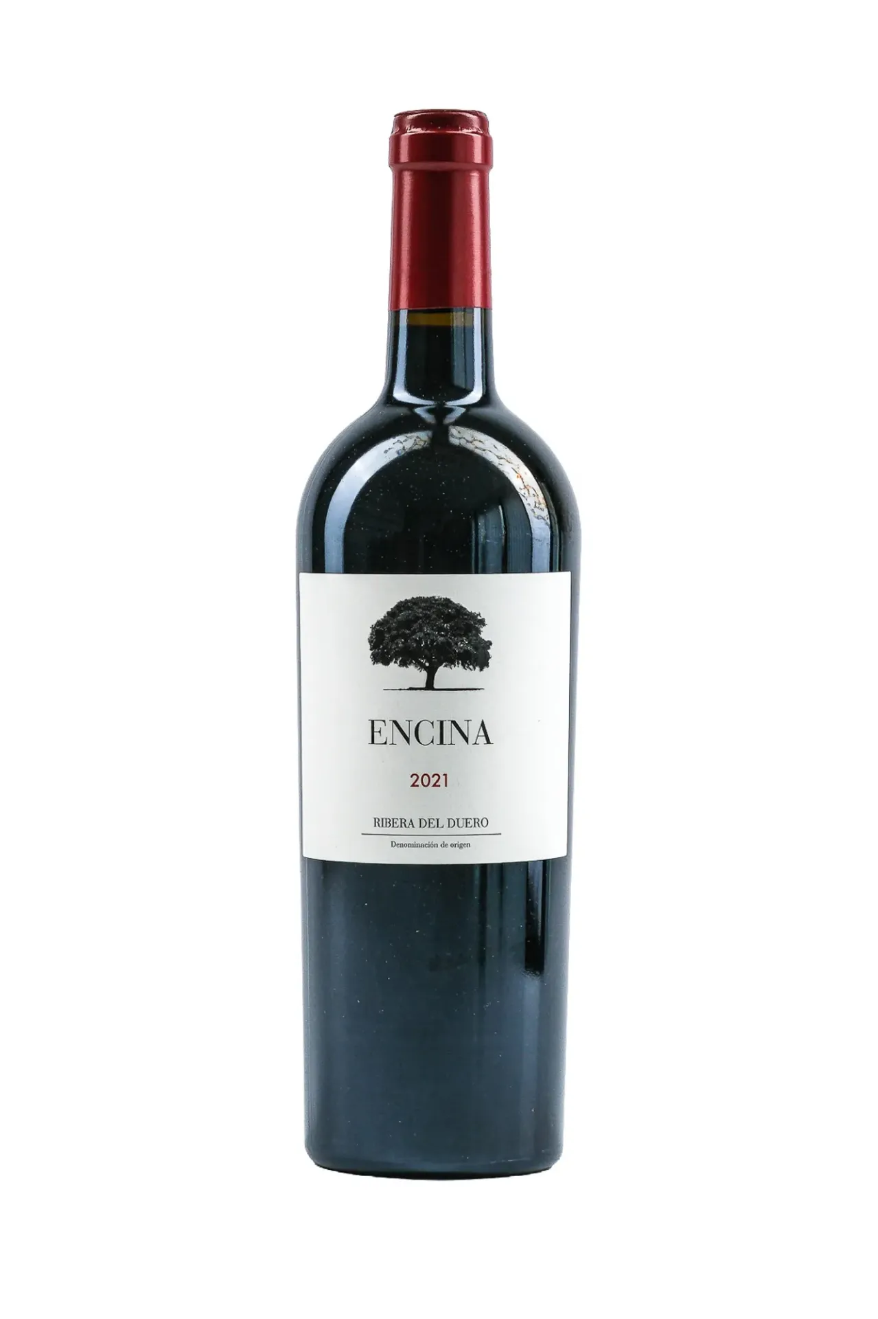 [SS22003-21] Encina 2021